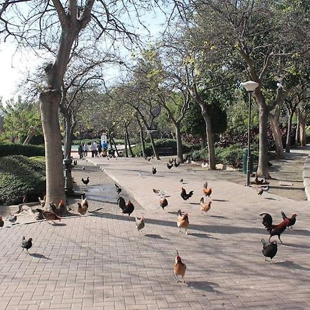 Apartamento Playa Benalmadena Las Golondrinas Exteriör bild